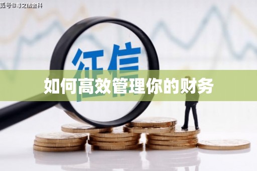 三芝如何高效管理你的财务